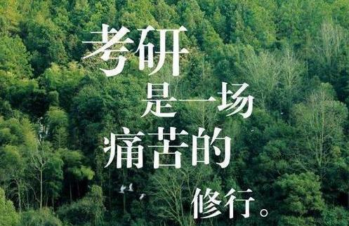 考研大揭秘！有人300分上985，有人400分卻無緣研究生