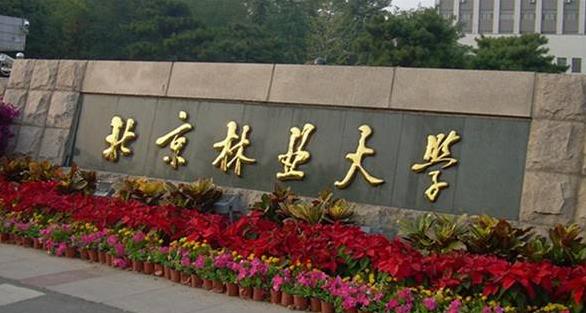 2022最新情報|北京林業大學來啦