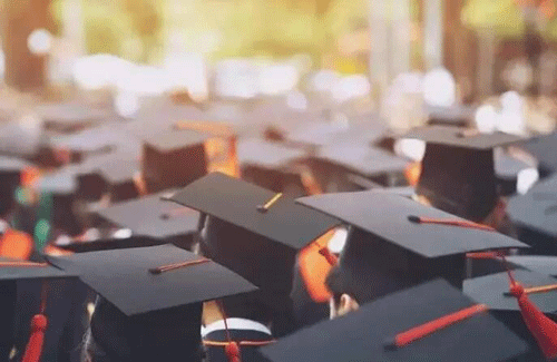 健康打卡漏打卡怎么辦?!全國各省健康打卡時(shí)間匯總!